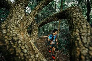 BIB: 
                            <button type="button" onclick="openModal(25393168)" class="btn btn-primary btn-sm float-right btn-popup" data-toggle="modal" data-target=".modal-high-quality">
                        <i class="fas fa-shopping-cart"></i> Add to Cart
                    </button>
                                            <button type="button" onclick="isThisMe(25393168, true)" class="btn btn-success btn-sm float-right btn-popup btn-isme hidden" data-toggle="tooltip" data-placement="bottom" title="นี่คือรูปของคุณใช่ไหม คลิกที่นี่เพื่อเอาเข้าอัลบั้ม">
                        <i class="fas fa-plus"></i> Add to album
                    </button>
                    <button type="button" onclick="isThisMe(25393168, false)" class="btn btn-warning btn-sm float-right btn-popup btn-isnotme hidden">
                        <i class="fas fa-ban"></i> Remove from album
                    </button>